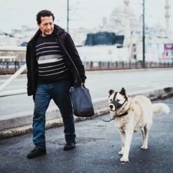 Merkloos Hoog Kwaliteit Muilkorf Met Bedrukt Patroon - Muilkorf Hond - Hondensnuit - Anti Blaf En Bijt - Voor Kleine En Grote Honden Maat M Zwart Reflecterend -Hondenproducten 1200x1200 1019