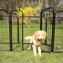 Merkloos Topmast Premium Puppyren - 80 Cm Hoog - 640 Cm Omtrek - Hondenren - Hondenhok - Antraciet 15 Merkloos Topmast Premium Puppyren - 80 Cm Hoog - 640 Cm Omtrek - Hondenren - Hondenhok - Antraciet -Hondenproducten 1200x1200 1086