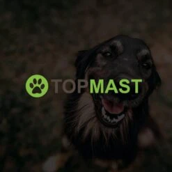 Merkloos Topmast Premium Puppyren - 120 Cm Hoog - 640 Cm Omtrek - Hondenren - Hondenhok - Zwart -Hondenproducten 1200x1200 1104