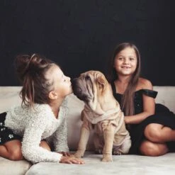 Relaxdays Puppyren - Hondenren - Puppykennel - Konijnenren - Bodem - Metaal - Div. Grootte - M -Hondenproducten 1200x1200 1108