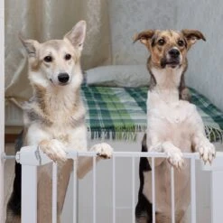 Nobleza 47B4V - Hondenhek - Metaal - H76 X L75-82 Cm - Wit -Hondenproducten 1200x1200 1119