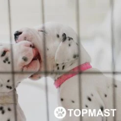 Topmast Puppyren Uitvouwbaar - Zwart - 560 Cm Omtrek - 76 Cm Hoog - Opvouwbaar - Expandable XL - Hondenren -Hondenproducten 1200x1200 1160