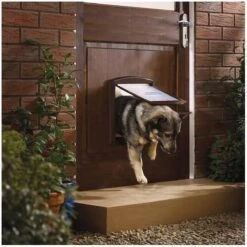 Petsafe 757 Hondenluik - Medium - Zilver/Tranparant -Hondenproducten 1200x1200 1179