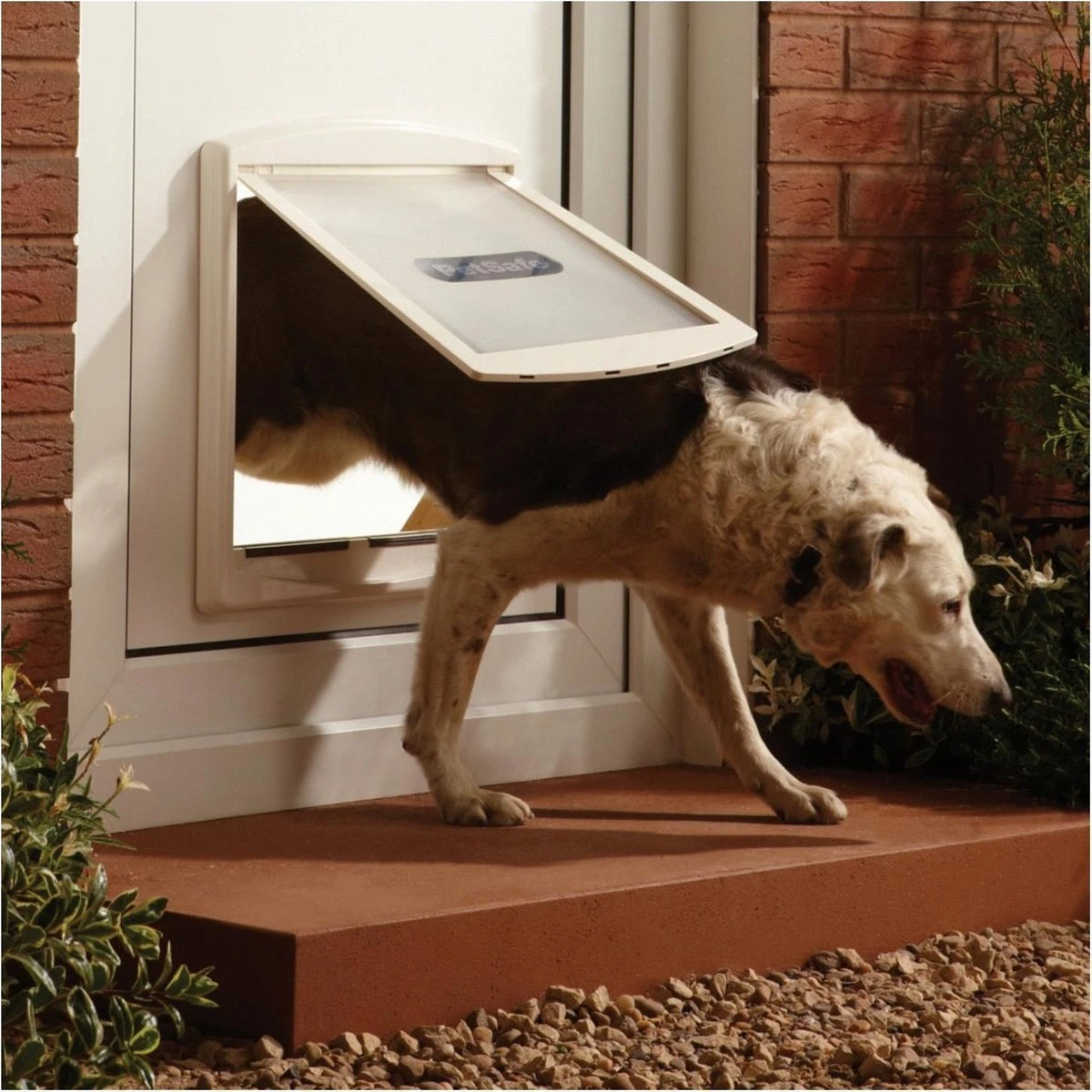 Petsafe 760 Hondenluik - L - Wit - 37 X 31,4 Cm 12 Petsafe 760 Hondenluik - L - Wit - 37 X 31,4 Cm - Afbeelding 10