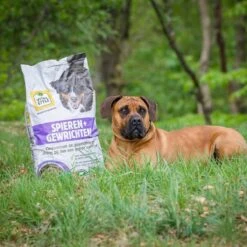 VITALstyle SPIEREN+GEWRICHTEN - Hondenbrokken - 12 Kg -Hondenproducten 1200x1200 1228