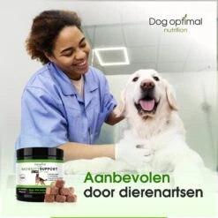 DOG OPTIMAL Gewricht Supplement 120 Stuks - Mobility - Glucosamine Hond - Artrose - Heupdysplasie - Gewrichten - Hondensnacks - Hondenkoekjes - Hondensupplementen - Honden - Puppy - Hondenvoeding 12 DOG OPTIMAL Gewricht Supplement 120 Stuks - Mobility - Glucosamine Hond - Artrose - Heupdysplasie - Gewrichten - Hondensnacks - Hondenkoekjes - Hondensupplementen - Honden - Puppy - Hondenvoeding -Hondenproducten 1200x1200 1253