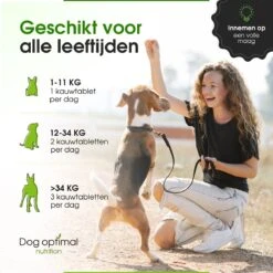 DOG OPTIMAL Gewricht Supplement 120 Stuks - Mobility - Glucosamine Hond - Artrose - Heupdysplasie - Gewrichten - Hondensnacks - Hondenkoekjes - Hondensupplementen - Honden - Puppy - Hondenvoeding 13 DOG OPTIMAL Gewricht Supplement 120 Stuks - Mobility - Glucosamine Hond - Artrose - Heupdysplasie - Gewrichten - Hondensnacks - Hondenkoekjes - Hondensupplementen - Honden - Puppy - Hondenvoeding -Hondenproducten 1200x1200 1254