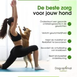 DOG OPTIMAL Gewricht Supplement 120 Stuks - Mobility - Glucosamine Hond - Artrose - Heupdysplasie - Gewrichten - Hondensnacks - Hondenkoekjes - Hondensupplementen - Honden - Puppy - Hondenvoeding 14 DOG OPTIMAL Gewricht Supplement 120 Stuks - Mobility - Glucosamine Hond - Artrose - Heupdysplasie - Gewrichten - Hondensnacks - Hondenkoekjes - Hondensupplementen - Honden - Puppy - Hondenvoeding -Hondenproducten 1200x1200 1255