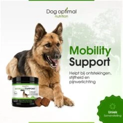 DOG OPTIMAL Gewricht Supplement 120 Stuks - Mobility - Glucosamine Hond - Artrose - Heupdysplasie - Gewrichten - Hondensnacks - Hondenkoekjes - Hondensupplementen - Honden - Puppy - Hondenvoeding 15 DOG OPTIMAL Gewricht Supplement 120 Stuks - Mobility - Glucosamine Hond - Artrose - Heupdysplasie - Gewrichten - Hondensnacks - Hondenkoekjes - Hondensupplementen - Honden - Puppy - Hondenvoeding -Hondenproducten 1200x1200 1256