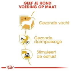 Royal Canin Chihuahua Pouch (12X85 GR) -Hondenproducten 1200x1200 1267