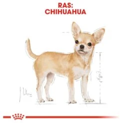 Royal Canin Chihuahua Pouch (12X85 GR) -Hondenproducten 1200x1200 1268