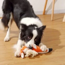 BoDutch Honden Knuffel - Vos - Puppyknuffel - Knisperoortjes - Met Piep - Oranje - 36 Cm - Hondenspeelgoed 17 BoDutch Honden Knuffel - Vos - Puppyknuffel - Knisperoortjes - Met Piep - Oranje - 36 Cm - Hondenspeelgoed -Hondenproducten 1200x1200 1279