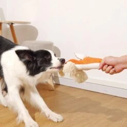 BoDutch Honden Knuffel - Vos - Puppyknuffel - Knisperoortjes - Met Piep - Oranje - 36 Cm - Hondenspeelgoed 20 BoDutch Honden Knuffel - Vos - Puppyknuffel - Knisperoortjes - Met Piep - Oranje - 36 Cm - Hondenspeelgoed -Hondenproducten 1200x1200 1280