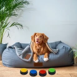 Comfort Company Praatknop Hond | Dogbuttons – Honden Speelgoed | Honden Speelgoed Intelligentie | 4 Stuks | Agility Voor De Hond | 30 Seconden Opnamen | Honden Training -Hondenproducten 1200x1200 1299