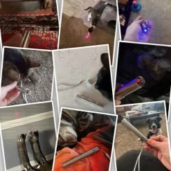 Mittense Laserpen Rood - Gratis E-book En Kat Springveren -Hondenproducten 1200x1200 1300