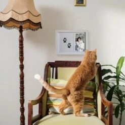 NOVOB® Fotolijst Met Inktafdruk - Pootafdruk Hond - Contactloos - Paw Print - Hondenspeelgoed - Afdruk Huisdier - Cadeau - 23.5 X 29 Cm | Wit -Hondenproducten 1200x1200 1314