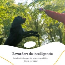 All 4 Pets Supply® Honden Speelgoed Set Geschikt Voor Puppy's T/m Middelgrote Honden - 12 Stuks - Hondenspeeltjes - Intelligentie - Touw - Flostouw - Bijtring - Bal -Hondenproducten 1200x1200 1316