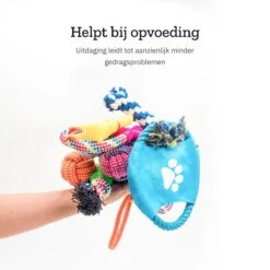 All 4 Pets Supply® Honden Speelgoed Set Geschikt Voor Puppy's T/m Middelgrote Honden - 12 Stuks - Hondenspeeltjes - Intelligentie - Touw - Flostouw - Bijtring - Bal -Hondenproducten 1200x1200 1318