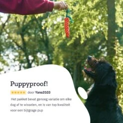 All 4 Pets Supply® Honden Speelgoed Set Geschikt Voor Puppy's T/m Middelgrote Honden - 12 Stuks - Hondenspeeltjes - Intelligentie - Touw - Flostouw - Bijtring - Bal -Hondenproducten 1200x1200 1321