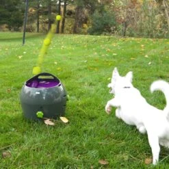 PetSafe Automatische Ballenwerper - Dierenspeelgoed -Hondenproducten 1200x1200 1326