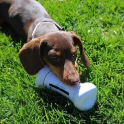 Cheerble Wickedbone|Automatisch Hondenspeeltje|Interactief En Intelligent Speelgoed Voor Honden|App & Bluetooth Bestuurbaar|USB Oplaadbaar -Hondenproducten 1200x1200 1341