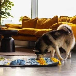 Snuffies Snuffelmat Jara 100x65cm - Snuffelmat – Snuffelmatten - Honden Speelgoed - Honden Speelgoed Intelligentie – Snuffelmat - Snuffelmat Hond - Snuffelmatten – Hersenwerk – Honden Speeltjes – Puppy - Puppy Speelgoed - Honden Denkspelletjes -Hondenproducten 1200x1200 1359