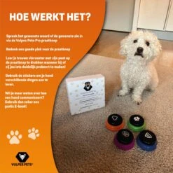 Vulpes Pets® PRO Praatknop Voor Honden Met Speelmat - Dogbuttons - Laat Uw Huisdier Spreken - Hondenspeelgoed - Honden Training - Inclusief E-Book En Speelmat 27 Vulpes Pets® PRO Praatknop Voor Honden Met Speelmat - Dogbuttons - Laat Uw Huisdier Spreken - Hondenspeelgoed - Honden Training - Inclusief E-Book En Speelmat -Hondenproducten 1200x1200 1396
