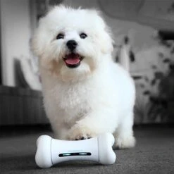 Wickedbone - Automatisch, Interactief En Intelligent Speelgoed Voor Honden - App & Bluetooth Bestuurbaar - USB Oplaadbaar 19 Wickedbone - Automatisch, Interactief En Intelligent Speelgoed Voor Honden - App & Bluetooth Bestuurbaar - USB Oplaadbaar -Hondenproducten 1200x1200 1418