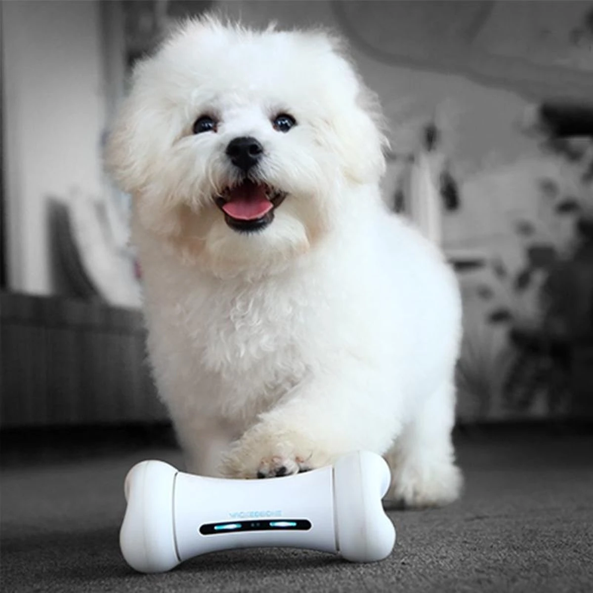 Wickedbone - Automatisch, Interactief En Intelligent Speelgoed Voor Honden - App & Bluetooth Bestuurbaar - USB Oplaadbaar 9 Wickedbone - Automatisch, Interactief En Intelligent Speelgoed Voor Honden - App & Bluetooth Bestuurbaar - USB Oplaadbaar - Afbeelding 7