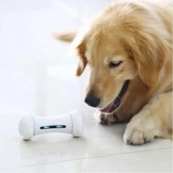 Wickedbone - Automatisch, Interactief En Intelligent Speelgoed Voor Honden - App & Bluetooth Bestuurbaar - USB Oplaadbaar 22 Wickedbone - Automatisch, Interactief En Intelligent Speelgoed Voor Honden - App & Bluetooth Bestuurbaar - USB Oplaadbaar -Hondenproducten 1200x1200 1419