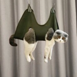 Katten, Honden XS Hangzak Voor Het Makkelijk Knippen Van Nagels, Groen, Green, Maat Extra Small, Waszak, Nagelknippen, Huisdierverzorging | Cat Hangbag | Pet Hangmat | Cat Hammock -Hondenproducten 1200x1200 142