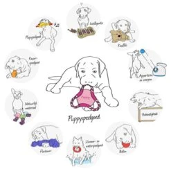 Trixie Honden Activity Flip Board - Hondenspeelgoed - Wit/Blauw - 23 Cm -Hondenproducten 1200x1200 1427