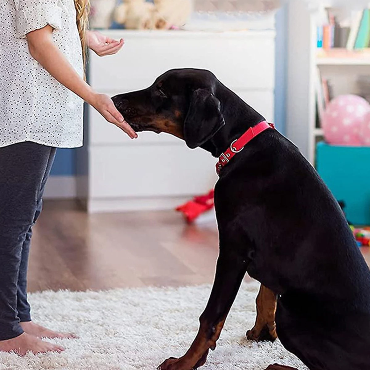 Merkloos Dog Buttons Praatknop Voor Honden - Met Opname Functie - Met Stickers - Intelligentie Speelgoed - 4 Stuks 7 Merkloos Dog Buttons Praatknop Voor Honden - Met Opname Functie - Met Stickers - Intelligentie Speelgoed - 4 Stuks - Afbeelding 5