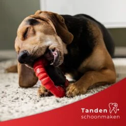 Kauwbot Stuurwiel 2.0 Extra Sterk Melk Geur Smaak En Piep Honden Speelgoed - Kauwspeelgoed Bot Hond - Dutchwide -Hondenproducten 1200x1200 1435