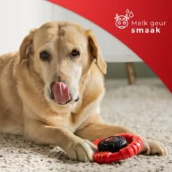 Kauwbot Stuurwiel 2.0 Extra Sterk Melk Geur Smaak En Piep Honden Speelgoed - Kauwspeelgoed Bot Hond - Dutchwide -Hondenproducten 1200x1200 1436