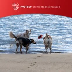 Kauwbot Stuurwiel 2.0 Extra Sterk Melk Geur Smaak En Piep Honden Speelgoed - Kauwspeelgoed Bot Hond - Dutchwide -Hondenproducten 1200x1200 1437