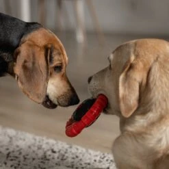Kauwbot Stuurwiel 2.0 Extra Sterk Melk Geur Smaak En Piep Honden Speelgoed - Kauwspeelgoed Bot Hond - Dutchwide -Hondenproducten 1200x1200 1438