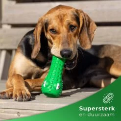 Tandenborstel Hond Melk Geur Smaak En Piep Honden Speelgoed Dog Toy - Krokodil Groen - Dutchwide -Hondenproducten 1200x1200 1466