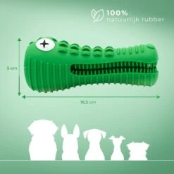 Tandenborstel Hond Melk Geur Smaak En Piep Honden Speelgoed Dog Toy - Krokodil Groen - Dutchwide -Hondenproducten 1200x1200 1469