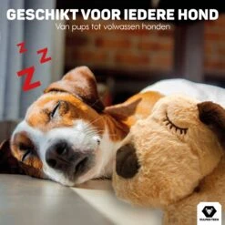 Vulpes Pets® Knuffel Hond Met Hartslag – Puppyknuffel - Hondenknuffel Voor Puppy - Snuggle Puppy - Knuffel Met Hartslag En Gratis Warmte Pad Speciaal Voor Puppy's -Hondenproducten 1200x1200 1481