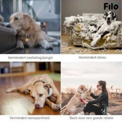 Filo Hondenknuffel Met Hartslag En Warmtebron - Hartslagknuffel Hondenspeelgoed Snuggle Puppy - Knuffel Met Hartslag - Heartbeat Knuffel Hond -Hondenproducten 1200x1200 1499