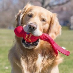 Kong Wubba - Hondenspeelgoed - Assorti - L: 36 Cm 21 Kong Wubba - Hondenspeelgoed - Assorti - L: 36 Cm -Hondenproducten 1200x1200 1505