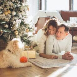 Good Experience Interactieve Hondenbal 3.0 – Honden Speelgoed Intelligentie – Puppy Speelgoed – Hondenspeeltjes – De Enige Die Werkt Met Afstandsbediening – De Veilige Bal Voor Jouw Hond – One Size – Oranje -Hondenproducten 1200x1200 1522