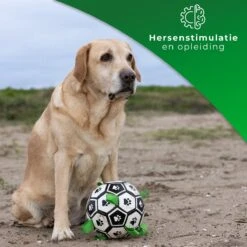 Honden Speelgoed Bal Voetbal Extra Sterk Met Handvaten Ball Hondenbal - 15 Cm - Dutchwide -Hondenproducten 1200x1200 1535