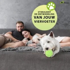 Petloverz Magic Roller Ball – Honden Speelgoed – Premium Automatische Rollende Bal -Hondenproducten 1200x1200 1542