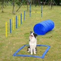 Agility Voor De Hond - 16 Delig - Agility Set - Hondentunnel - Horde - Slalom Palen - Honden Training Set - Honden Behendigheidsset - Agility Toestellen -Hondenproducten 1200x1200 1560
