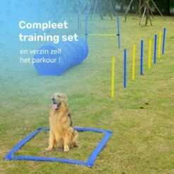 Agility Voor De Hond - 16 Delig - Agility Set - Hondentunnel - Horde - Slalom Palen - Honden Training Set - Honden Behendigheidsset - Agility Toestellen -Hondenproducten 1200x1200 1562