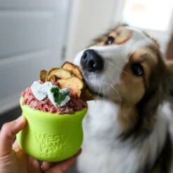 West Paw Toppl Zogoflex - Uitdagend En Sterk Speelgoed Voor Honden - Slowfeeder - Vulbaar Met Voer Of Snacks - Kleur: Groen, Maat: Large -Hondenproducten 1200x1200 1572