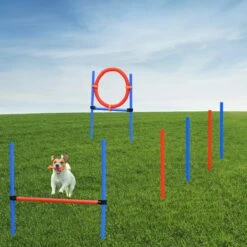 Merkloos Honden Agility Set - 23-delig - Agility Voor De Hond - Agility - Honden Parcours - Honden Training - Rood/Blauw 11 Merkloos Honden Agility Set - 23-delig - Agility Voor De Hond - Agility - Honden Parcours - Honden Training - Rood/Blauw -Hondenproducten 1200x1200 1577
