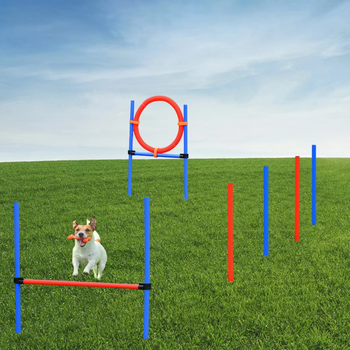 Merkloos Honden Agility Set - 23-delig - Agility Voor De Hond - Agility - Honden Parcours - Honden Training - Rood/Blauw 6 Merkloos Honden Agility Set - 23-delig - Agility Voor De Hond - Agility - Honden Parcours - Honden Training - Rood/Blauw - Afbeelding 4